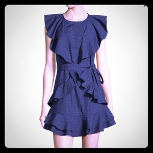 COPY - NWT - Joie Malachy Polkadot Ruffle Dress